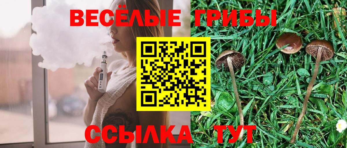 Псилоцибиновые грибы мухоморы Губкин