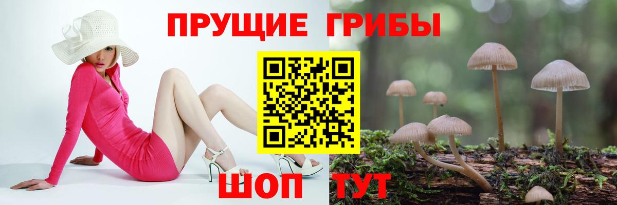 Галлюциногенные грибы Cubensis  Вход с VPN  Губкин  Галлюциногенные грибы Psilocybine cubensis 