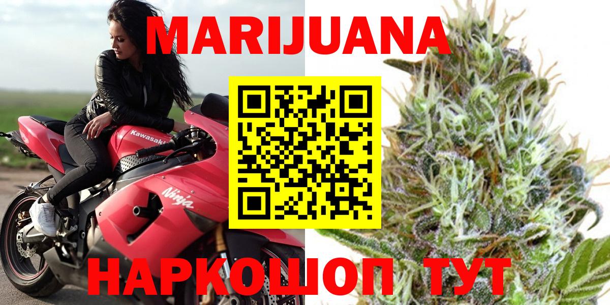Шишки марихуана сатива  Вход с VPN  Губкин  Конопля тримм  Шишки марихуана Bruce Banner  МАРИХУАНА тримм 